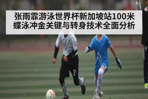 张雨霏游泳世界杯新加坡站100米蝶泳冲金关键与转身技术全面分析